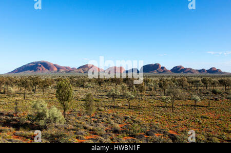 Die Olgas oder Kata Tjuta, Uluru-Kata Tjuta National Park, Northern Territory, Australien Stockfoto