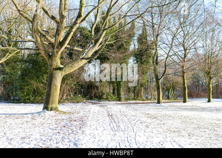 Fuß nach Schnee - Assen, Niederlande - 2017 Stockfoto