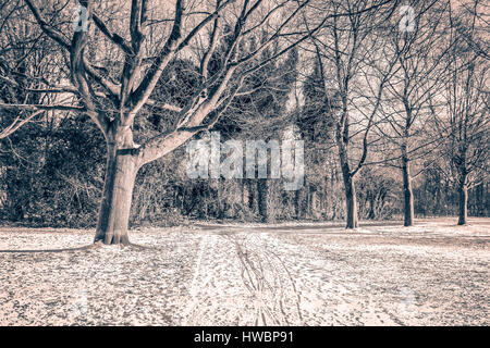 Fuß nach Schnee - Assen, Niederlande - 2017 Stockfoto