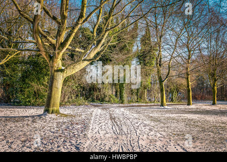 Fuß nach Schnee - Assen, Niederlande - 2017 Stockfoto