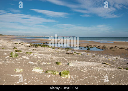 Sonnigen Morgen am weiten Strand von Speeton Sands, Filey Bay, North Yorkshire, England. Stockfoto