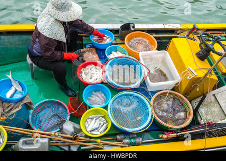 Fishman verkaufen Fisch auf Boot Stockfoto