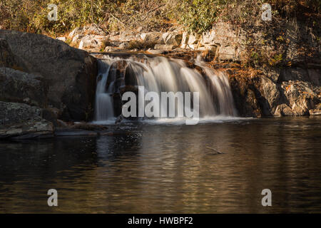 Great Blue Heron und Upper Falls Linville Fluss entlang der Blue Ridge Parkway, NC, USA Stockfoto