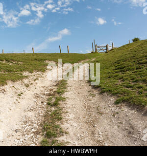 Einer der vielen Kreide Wanderwege im Vorfeld Chanctonbury Ring im South Downs National Park, West Sussex, England, UK. Stockfoto