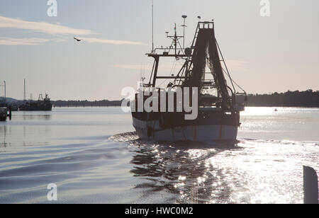 Ein Fischerboot, die Rückkehr in den Hafen am Morgen in Lakes Entrance, Gippsland, Victoria. Stockfoto