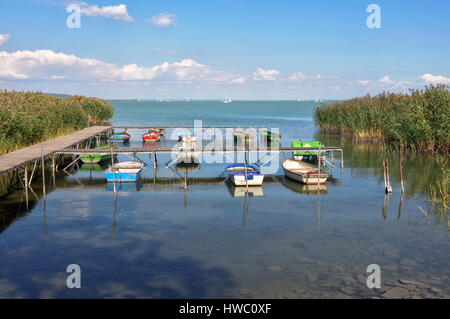 Kleine Fischerboote und Ruderboote gebunden zum Pier zwischen Schilf am Balaton in Tihany, Ungarn Stockfoto