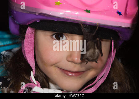 Lächelndes Kind mit Fledermaus hängen vom Helm. Freundlichen weniger Hufeisennase ruht auf Mädchen Fahrradhelm in einer Höhle in Somerset, Großbritannien Stockfoto