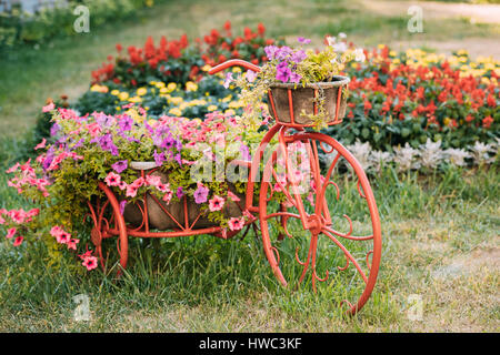 Dekorativer Vintage-Modell Fahrrades alten Korb Blumen Garten. Getönten Foto. Stockfoto