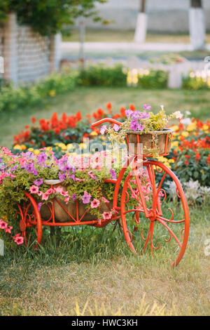 Dekorativer Vintage-Modell Fahrrades alten Korb Blumen Garten. Getönten Foto. Stockfoto