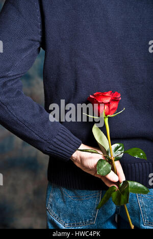 Mann mit einer roten rose in der hand hinter seinem zurück warten, um es als ein romantisches Geschenk Stockfoto