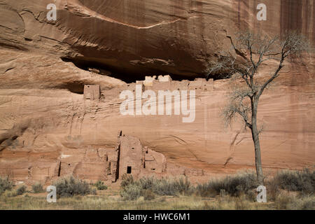 White House Ruinen, Canyon de Chelly National Monument, Chinle, Arizona, USA Stockfoto