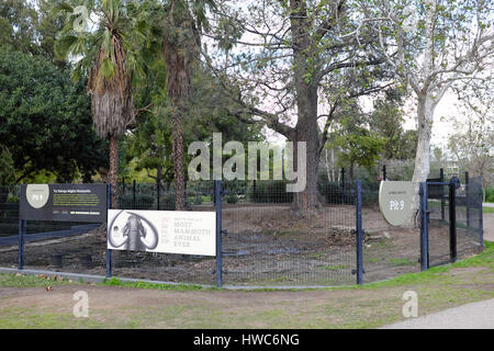 9 Grube von der La Brea Tar Pits im Hancock Park, Los Angeles. Stockfoto