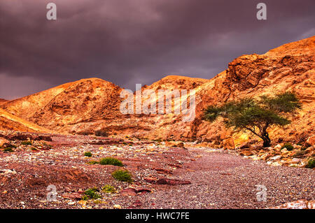 Die roten Sand Felsen im Timna Park, Negev-Wüste, Israel Stockfoto