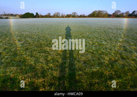 Regenbogen Licht gebrochen von Tau auf Millionen von winzigen Spinnennetze, East Sussex. Stockfoto