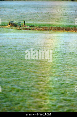 Regenbogen Licht gebrochen von Tau auf Millionen von winzigen Spinnennetze, East Sussex. Stockfoto