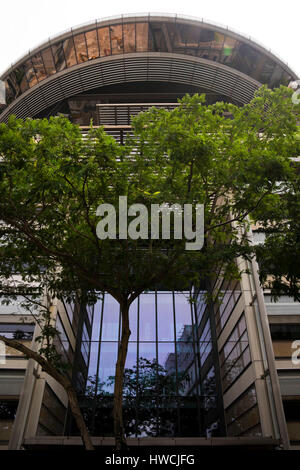 Vertikale Blick auf das ungewöhnliche Supreme Court Building in Singapur. Stockfoto