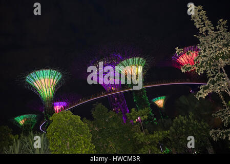 Horizontale Ansicht der Lichtshow im Supertree Grove in Singapur. Stockfoto