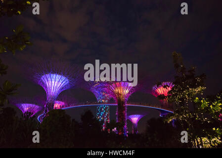 Horizontale Ansicht der Lichtshow im Supertree Grove in Singapur. Stockfoto