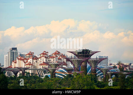 Horizontale Ansicht der Supertrees in den Gärten an der Bucht in Singapur. Stockfoto