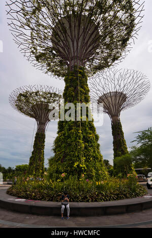 Vertikale Ansicht von Supertrees in den Gärten an der Bucht in Singapur. Stockfoto