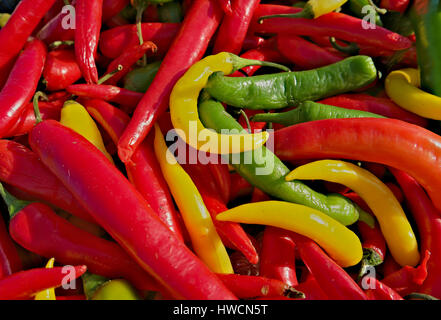 Gruppe von spicy Paprika in verschiedenen Farben Stockfoto