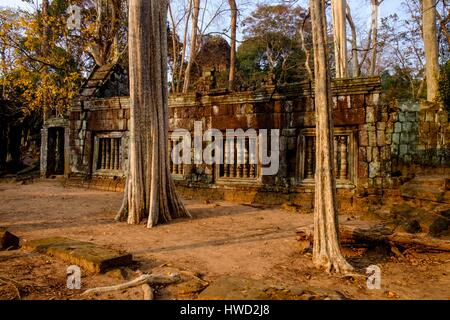 Kambodscha, Provinz Preah Vihear, Tempel-Komplex aus Koh Ker, datiert 12. Jahrhundert, Tempel Prasat Thom oder Prasat Kompeng 9 Stockfoto