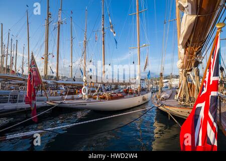 Frankreich, Alpes Maritimes, Cannes, den alten Hafen, den alten Segelschiffen und die Segelboote angelegt am Kai Max Laubeuf, jedes Jahr im September findet die Régates Royales von Cannes Stockfoto