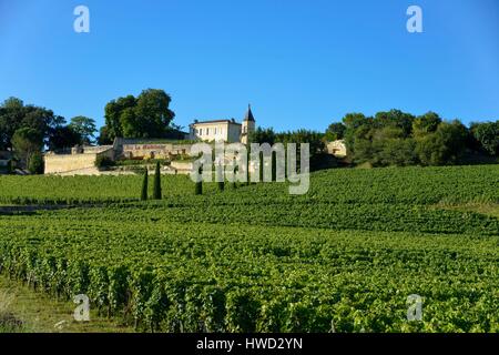 Frankreich, Gironde, Saint Emilion, Landschaft der Saint Emilion Weinberge als Weltkulturerbe von der UNESCO, Clos de la Madeleine klassifizierten Grand Cru Stockfoto