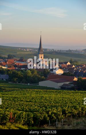 Marne, Chamery, Berg von Reims, Frankreich, Weinberge der Champagne Wih ein Dorf im Hintergrund in der Morgendämmerung Stockfoto