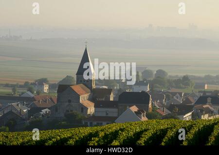 Frankreich, Marne, Sacy, Berg von Reims, Weinberge der Champagne im Morgennebel mit einem Hintergrund-Dorf Stockfoto