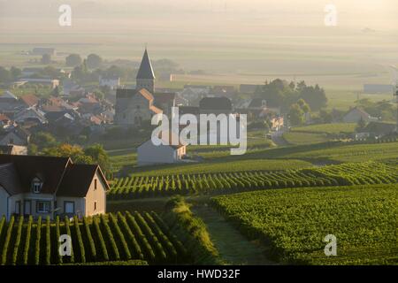 Frankreich, Marne, Sacy, Berg von Reims, Weinberge der Champagne im Morgennebel mit einem Hintergrund-Dorf Stockfoto