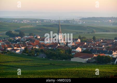 Marne, Chamery, Berg von Reims, Frankreich, Weinberge der Champagne Wih ein Dorf im Hintergrund in der Morgendämmerung Stockfoto