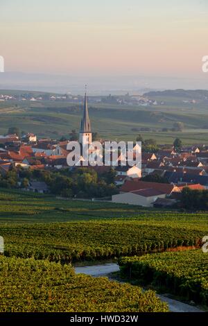 Marne, Chamery, Berg von Reims, Frankreich, Weinberge der Champagne Wih ein Dorf im Hintergrund in der Morgendämmerung Stockfoto