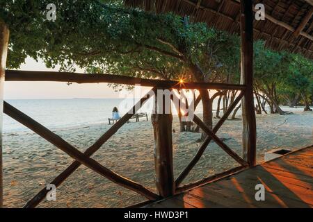 Tanzania, Zanzibar, Chapwani, Chapwani Private Island Resort, junge Frau sitzt am Strand den Sonnenuntergang betrachten Stockfoto