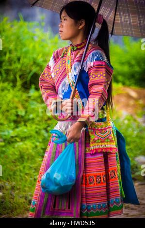 Vietnam, hohe Tonkin, Provinz Lao Cai, Ban Pho Dorf, rote H'mong Bauer und ihrem Schirm Stockfoto