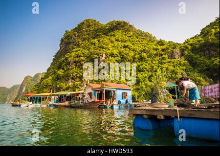 Vietnam, Golf von Tonkin, Quang Ninh Provinz, Ha Long Bay (Vinh Ha Long) Weltkulturerbe von der UNESCO (1994), schwimmende Heimat der Fischer Stockfoto