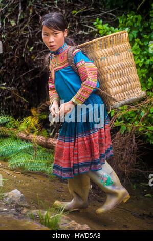 Vietnam, hohe Tonkin, Provinz Lao Cai, Ban Pho Dorf, Porträt eines roten H'mong Mädchens mit ihrem Korb Korbwaren Stockfoto