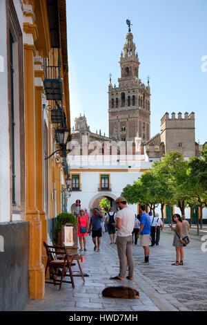 Spanien, Andalusien, Sevilla, la Giralda, vom Patio de Banderas Stockfoto