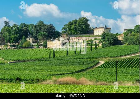 Frankreich, Gironde, Saint-Emilion, Weltkulturerbe der UNESCO, Bordeaux Weinberg Clos La Madeleine, AOC Saint-Emilion Stockfoto