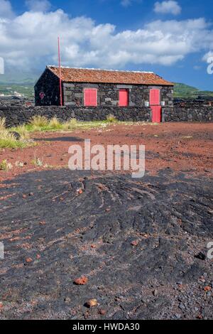 Portugal, Azoren, Insel Pico, Criaçao Velha, alte Lavaströme Stockfoto