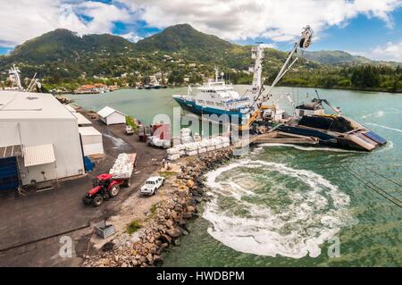 Seychellen, Indischer Ozean, Insel Mahe, Victoria, Thunfisch Boot auf Port Victoria, der ersten indischen Ozean Thunfisch Umschlag Hafen, kreativen Blick, Herr-PR nicht Stockfoto