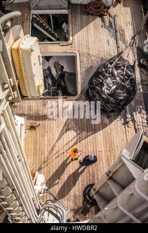 Seychellen, Indischer Ozean, Mahe Island, Victoria, Trap voller Thunfisch Beladung an Bord einer cargo Frachter im Hafen von Victoria, dem ersten Thunfisch umladen Port im Indischen Ozean Stockfoto