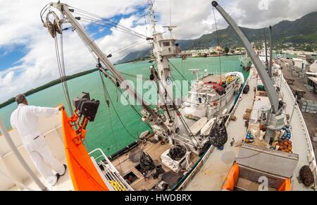 Seychellen, Indischer Ozean, Mahe Island, Victoria, Beladung an Bord eines Thunfisch Fracht Fracht, die im Hafen von Victoria, dem ersten Indischen Ozean umladen Port Stockfoto