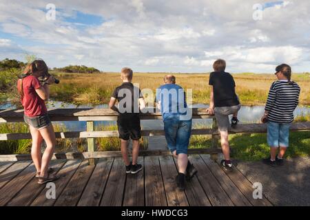 USA, Florida, Everglades Nationalpark, der Anhinga Trail, Besucher Stockfoto