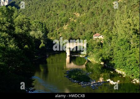 Frankreich, Lozère, der Causses und der Cevennen, mediterranen Agro pastorale Kulturlandschaft, als Weltkulturerbe von der UNESCO, der Gorges du Tarn, Le Rozier Brücke Stockfoto