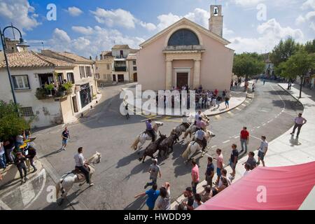 Gard, Frankreich Aigues Vives, ein Abrivado besteht die Bullen auf den Straßen des Dorfes freien Lauf zu lassen Stockfoto