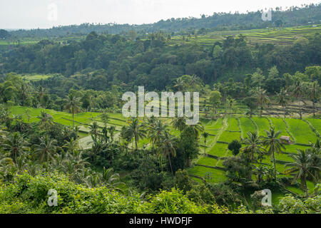 Blick vom Senaru, Lombok, Indonesien Stockfoto