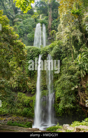 Sendang Gila Wasserfall, Senaru, Lombok, Indonesien Stockfoto
