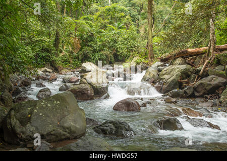 Fluss in der Nähe von Sendang Gila Wasserfall, Senaru, Lombok, Indonesien Stockfoto