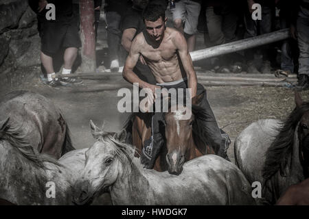 Rapa Das Bestas in Catoira, Galicien, Nordspanien. Stockfoto